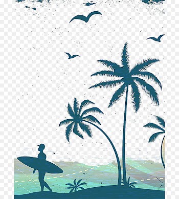 Arecaceae Euclidean vector Poster - surf 