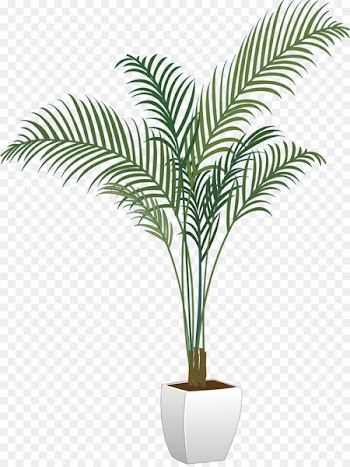 Arecaceae Flowerpot Houseplant - Vector green potted plants 