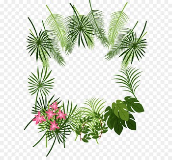 Arecaceae Leaf Tropics Plant - Tropical leaf decoration box 
