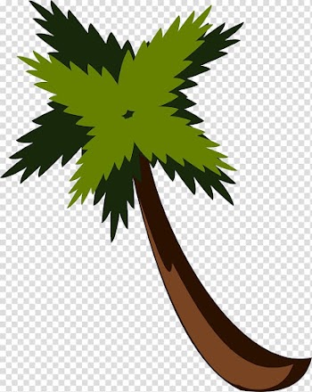 Arecaceae , Lush coconut trees transparent background PNG clipart