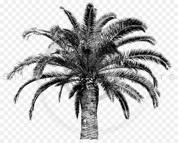 Arecaceae Paper Tree Zazzle Postage Stamps - tree 