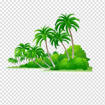 Arecaceae Shrub Illustration, forest transparent background PNG clipart