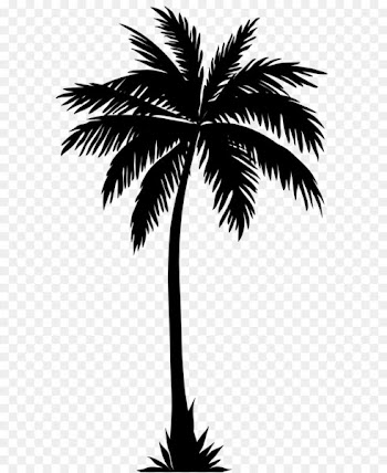 Arecaceae Silhouette Clip art - Palm Tree Silhouette PNG Clip Art Image 