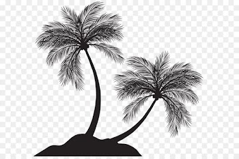Arecaceae Silhouette Clip art - Two Palm Trees Silhouette PNG Clip Art 