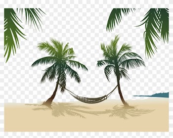 Arecaceae Stock Photography Royalty-free - Coconut Tree Free Vector