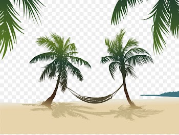 Arecaceae Stock photography Royalty-free - Vector hammock hanging on the coconut tree 