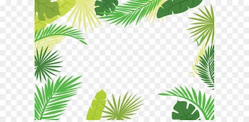 Arecaceae Text Branch Leaf Illustration - Palm leaf border 