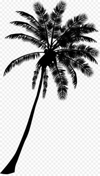 Arecaceae Tree Cdr Silhouette Clip art - coconut tree 