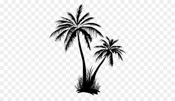 Arecaceae Tree Clip art - coconut tree vector 