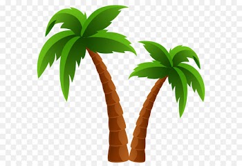 Arecaceae Tree Clip art - Two Palm Trees PNG Clipart Image 