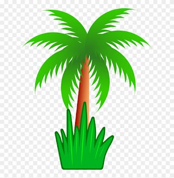 Arecaceae Tree Coconut Clip Art - Arecaceae Tree Coconut Clip Art