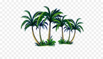 Arecaceae Tree Computer file - Palm tree island 