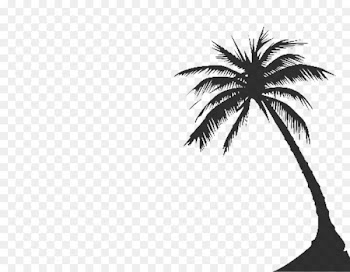 Arecaceae Tree Silhouette Clip art - Palm Tree Silhouette Png 