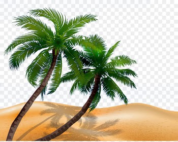 Arecaceae Tree Silhouette Illustration - Beach coconut tree 