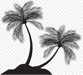 Arecaceae Tree Silhouette - palm trees 