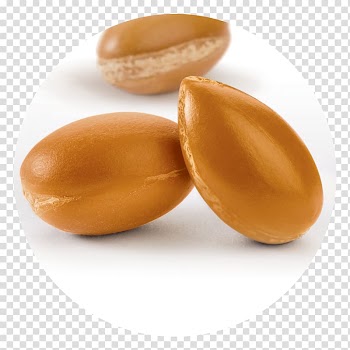 Argan oil Vegetable oil Hair Care, nut transparent background PNG clipart