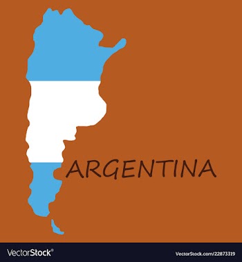 Argentina flag map vector image