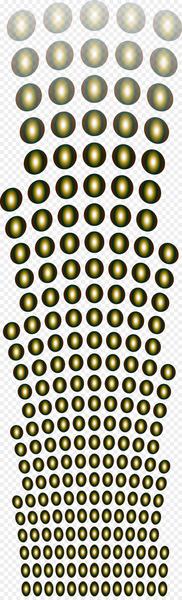 Argentina Stock photography Royalty-free Illustration - Halo 