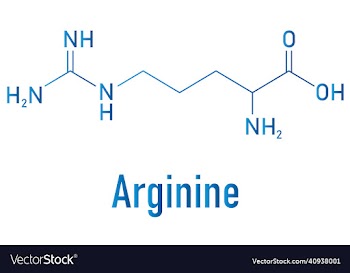 arginine amino acid molecule skeletal formula