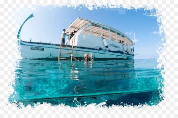 Ari Atoll, Underwater Diving, Maamigili, Water Transportation, Water PNG
