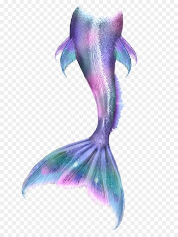 Ariel Mermaid Drawing Tail Siren - Mermaid tail 