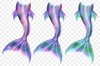 Ariel Mermaid Tail Siren Drawing - Mermaid 