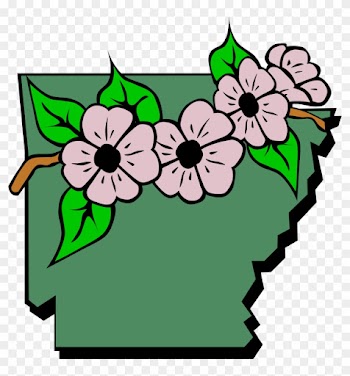 Arkansas State Flower Clipart - Arkansas State Flower Clip Art