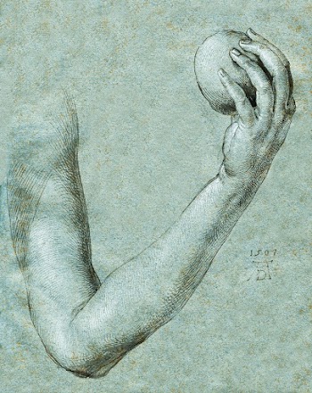 Arm of Eve (1507) by Albrecht D&uuml;rer. Original from The Cleveland Museum of Art. Digitally enhanced by rawpixel.
