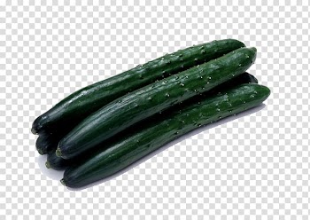 Armenian cucumber Vegetable Deep-fried peanuts Seed, cucumber transparent background PNG clipart