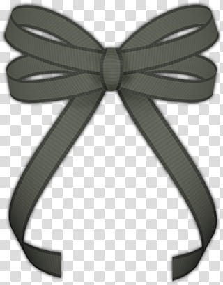 Army Wife Digital Scrap Kit, gray ribbon illustration transparent background PNG clipart