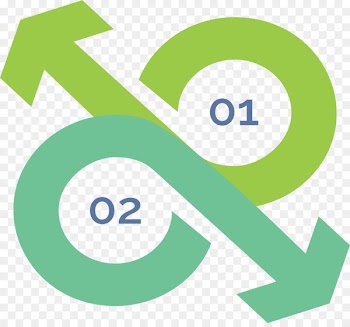 Arrow Infographic Chart - Compare the curved arrow diagrams 