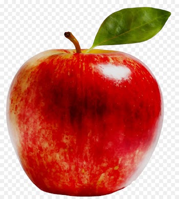 Arrowhead Tap House Stock photography Apple Image -  