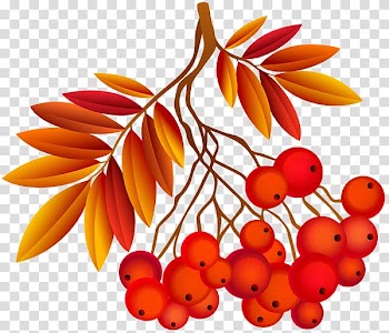 Art Autumn , fall transparent background PNG clipart