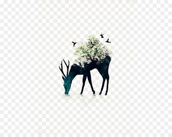 Art Drawing Graphic design Illustration - Deer 