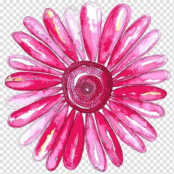 Art Floral design Transvaal daisy Printmaking Watercolor painting, flower transparent background PNG clipart