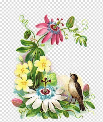 Art Flower Ephemera September, watercolor horse transparent background PNG clipart