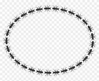 Art Free Ant Border Oval - Icon Border Circle Png
