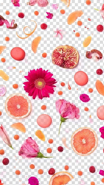 Art , fruits wall decor transparent background PNG clipart