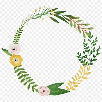 Art, Line Art, Jewellery, Leaf, Colorado Spruce PNG