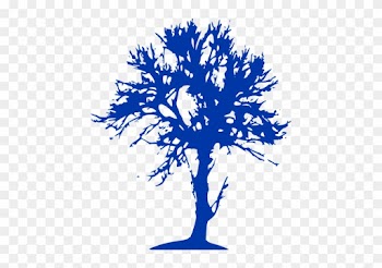 Art Print: Tree Of Wisdom 2 By Sheldon Lewis : 13x13in