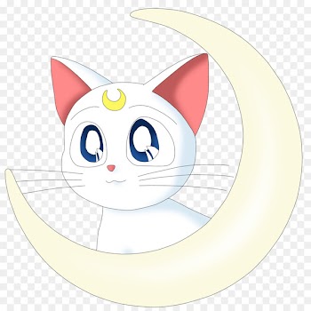 Artemis Luna Sailor Moon Sailor Venus Sailor Mercury - sailor moon 
