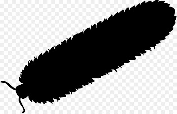 Arthropleura Meganeura Zoo Tycoon 2 Silhouette Carboniferous - arthropod silhouette 