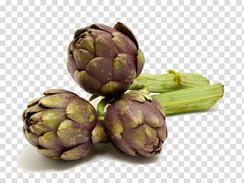Artichoke Carciofi alla giudia Vegetable Food, Artichokes Free transparent background PNG clipart