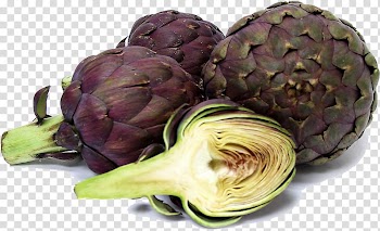 Artichoke Carciofi alla giudia Vegetable Fruit, Artichokes transparent background PNG clipart