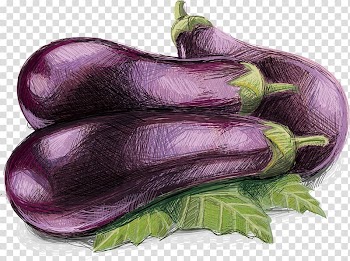 Artichoke Eggplant Vegetable, Eggplant transparent background PNG clipart
