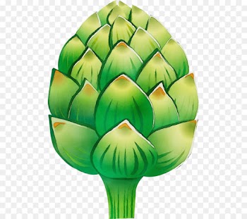 artichoke green leaf cynara clip art