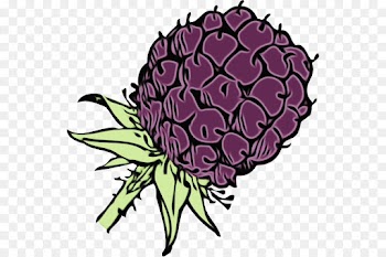 artichoke plant purple thistle clip art