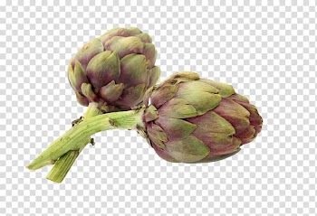 Artichoke Vegetable Avocado, artichokes transparent background PNG clipart