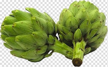 Artichoke Vegetable Food Herb, vegetable transparent background PNG clipart