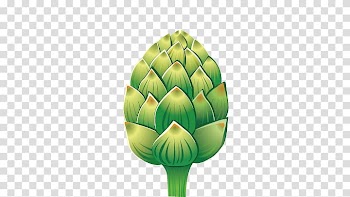 Artichoke, vegetables transparent background PNG clipart